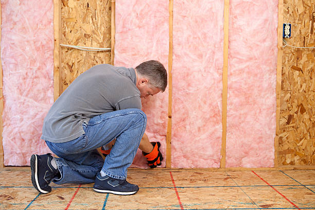 Best Insulation Maintenance and Repair in Berkley, MI